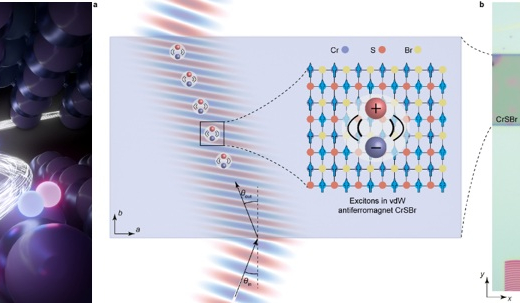 港大學者揭示突破性發現: 磁序調控激子實現負折射——開闢光操控新維度